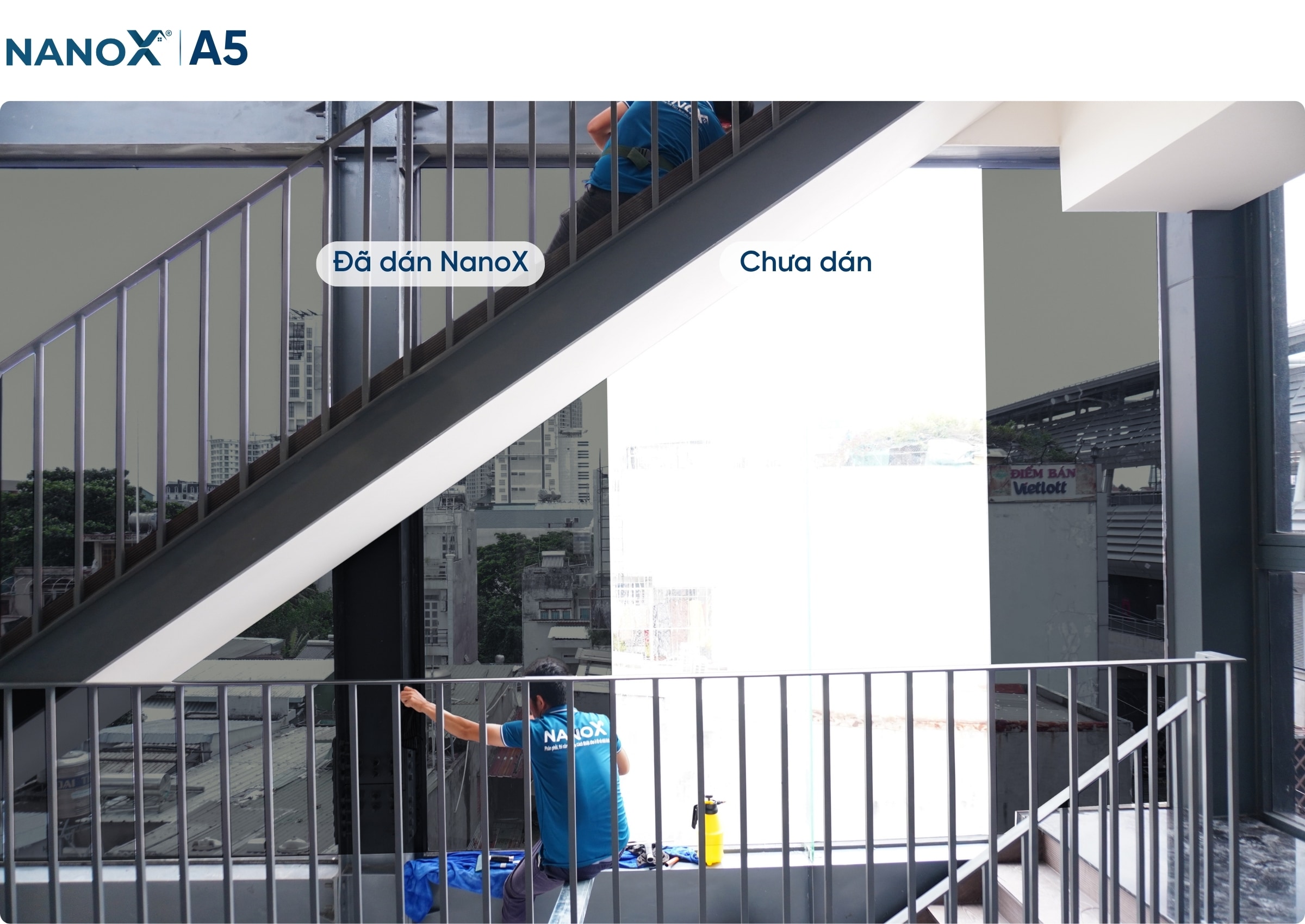 Hình ảnh thi công thực tế mã phim nhà kính AMC A5